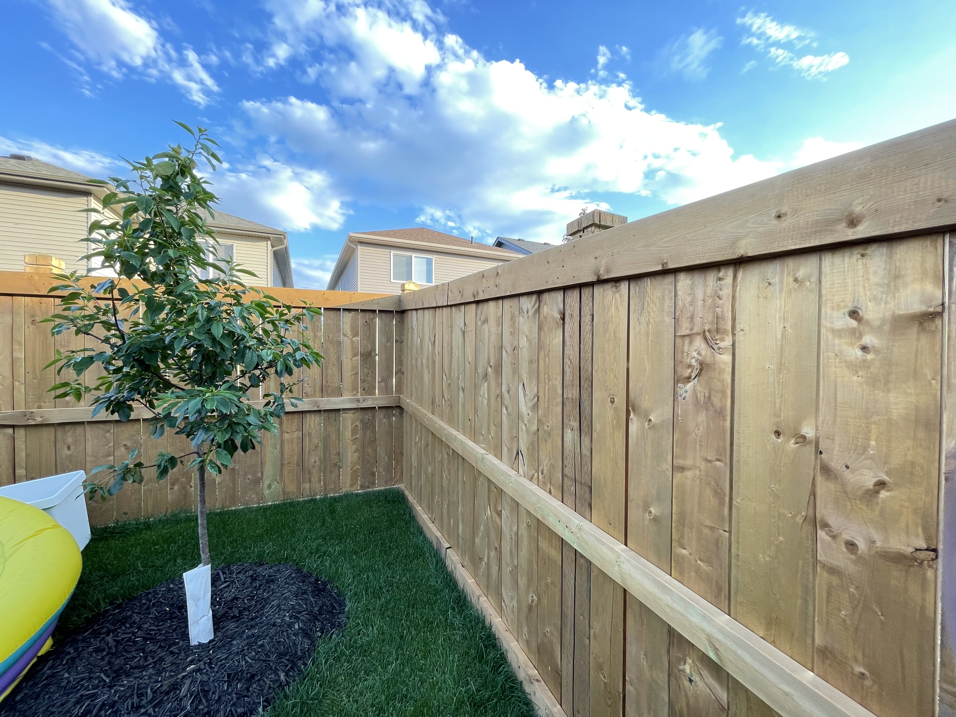 a newly constructed wood fence in the backyard