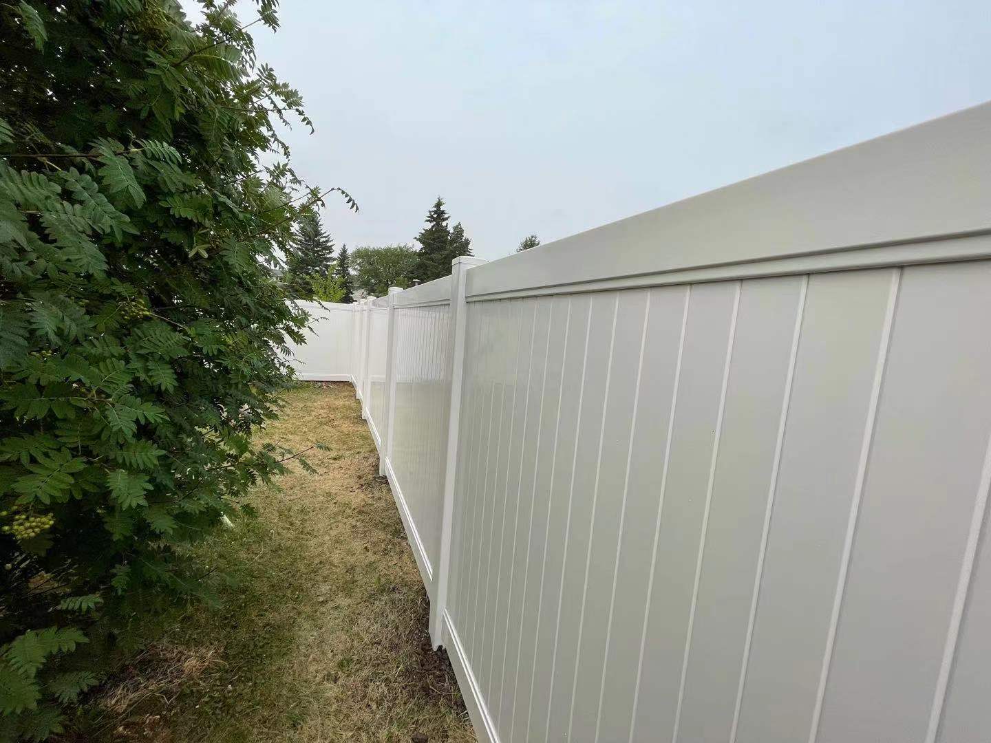 a newly constructed wood fence in the backyard